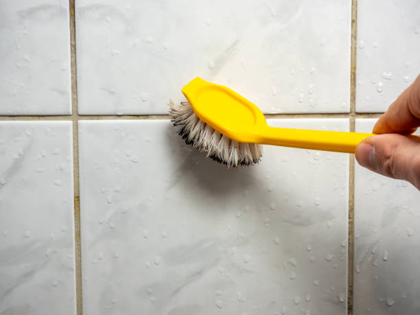 Best Mold Remediation  in Barrackville, WV