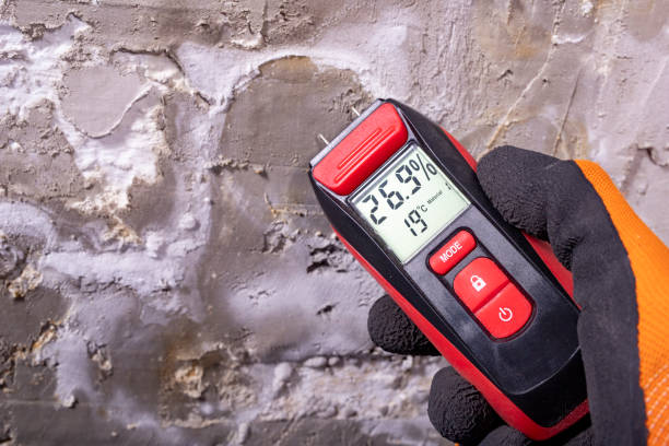 Barrackville, WV Mold Removal Company